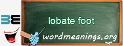 WordMeaning blackboard for lobate foot